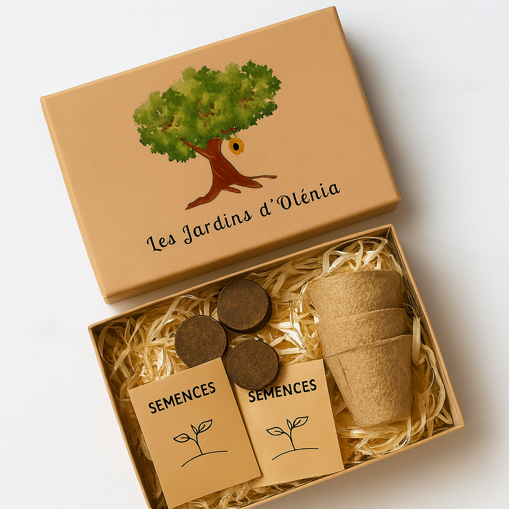 Le Kit Olénia – Printemps 2026